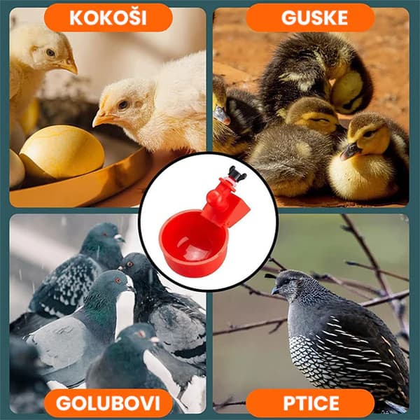 Set za automatsko napajanje kokoški i druge peradi Chick Drop 2
